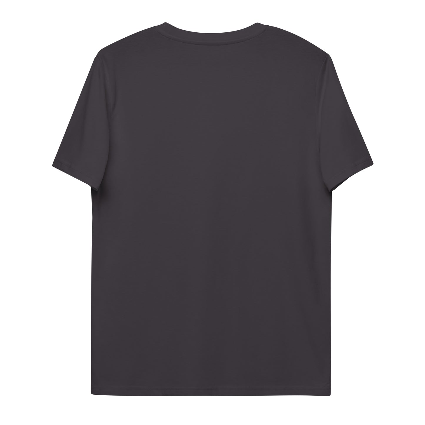 Level Up - Unisex organic cotton t-shirt